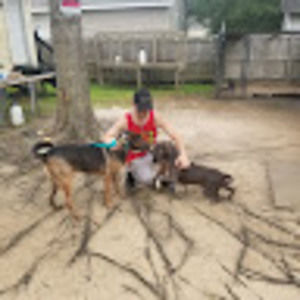 Meet your Posher, Richard